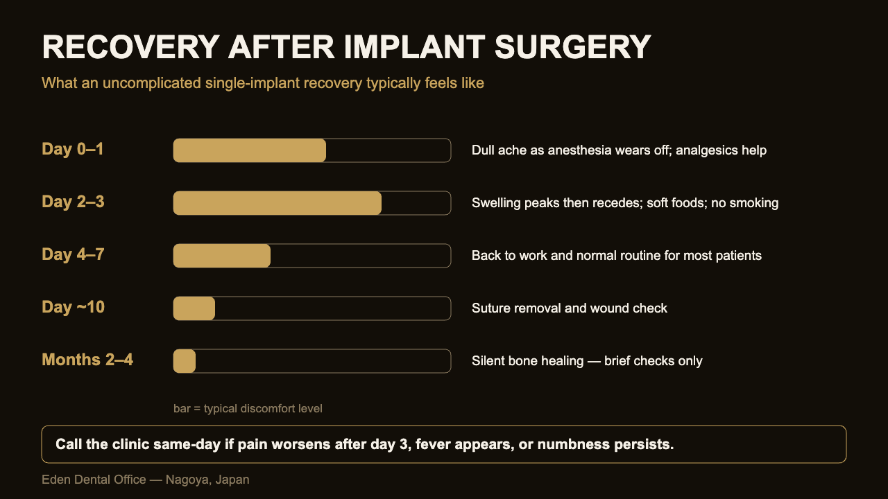 Typical recovery timeline after dental implant surgery | Eden Dental Office Nagoya