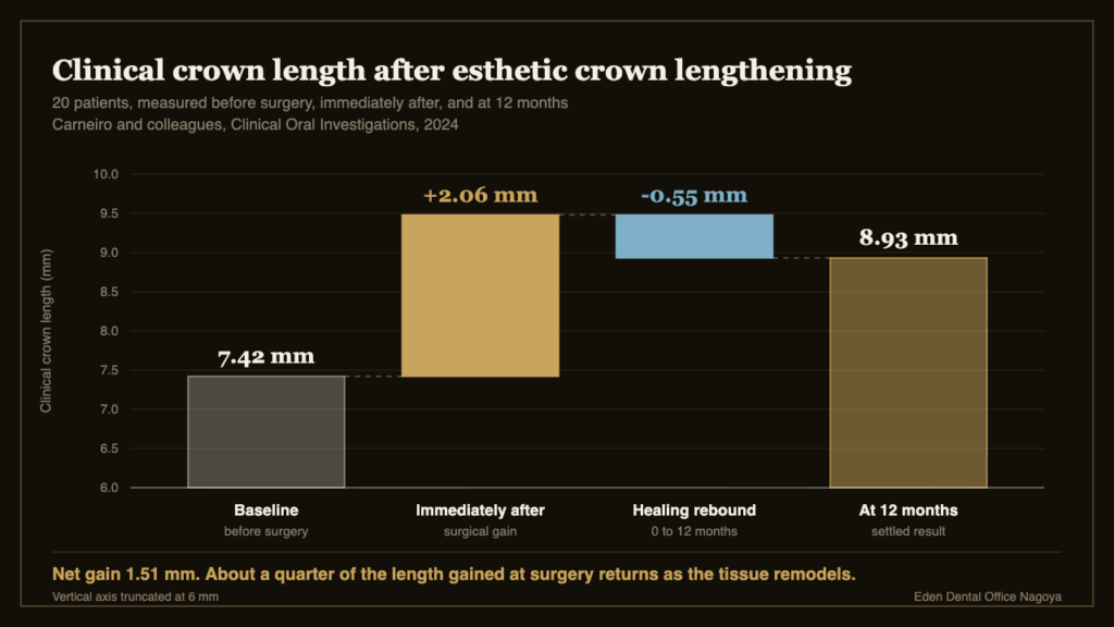 Waterfall chart of clinical crown length before esthetic crown lengthening, immediately after surgery and at twelve months | Eden Dental Office Nagoya
