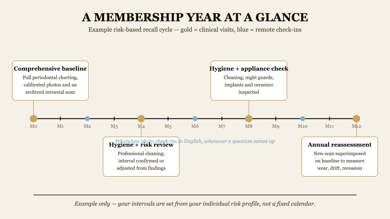 Example risk-based dental membership year with clinical visits and remote check-ins | Eden Dental Office Nagoya