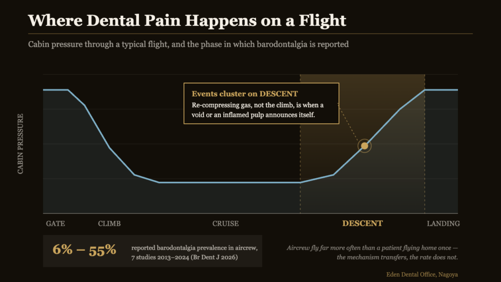 Chart of cabin pressure through a flight showing that barodontalgia events cluster during descent, relevant to flying after dental surgery in Japan | Eden Dental Office Nagoya