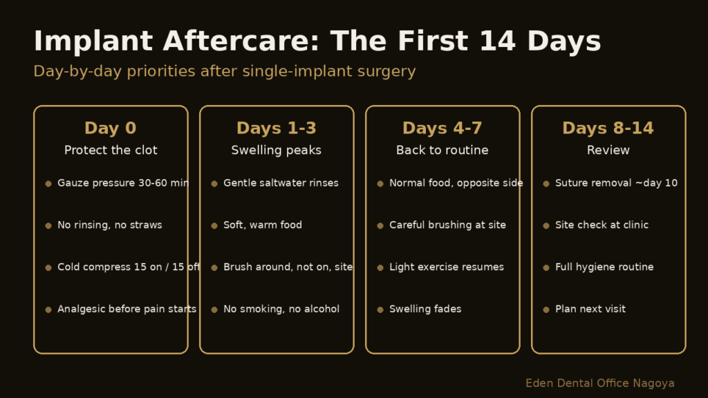 Four-phase aftercare timeline for the first 14 days after dental implant surgery | Eden Dental Office Nagoya
