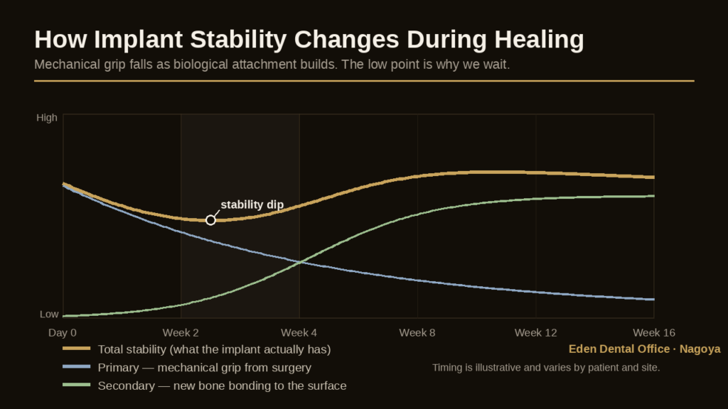 Graph of primary, secondary and total dental implant stability over sixteen weeks of healing, showing the stability dip | Eden Dental Office Nagoya