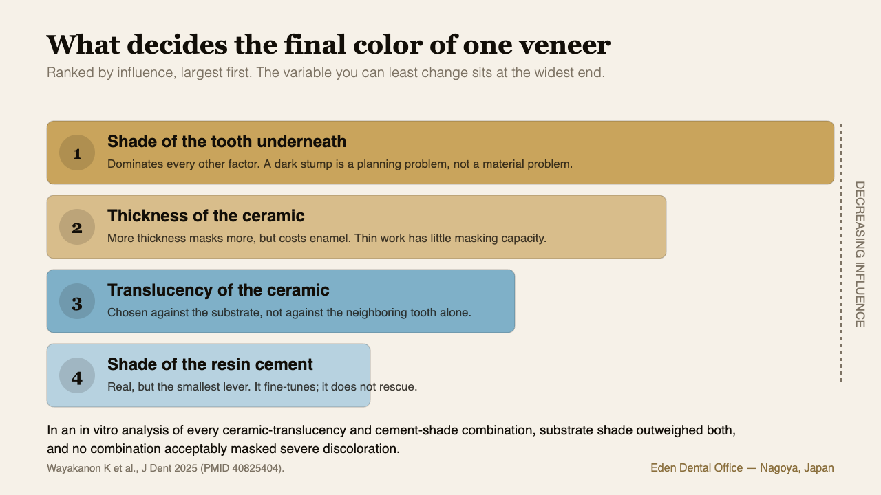 Ranked diagram showing that the shade of the underlying tooth influences a single veneer final color more than ceramic thickness, translucency or cement shade | Eden Dental Office Nagoya