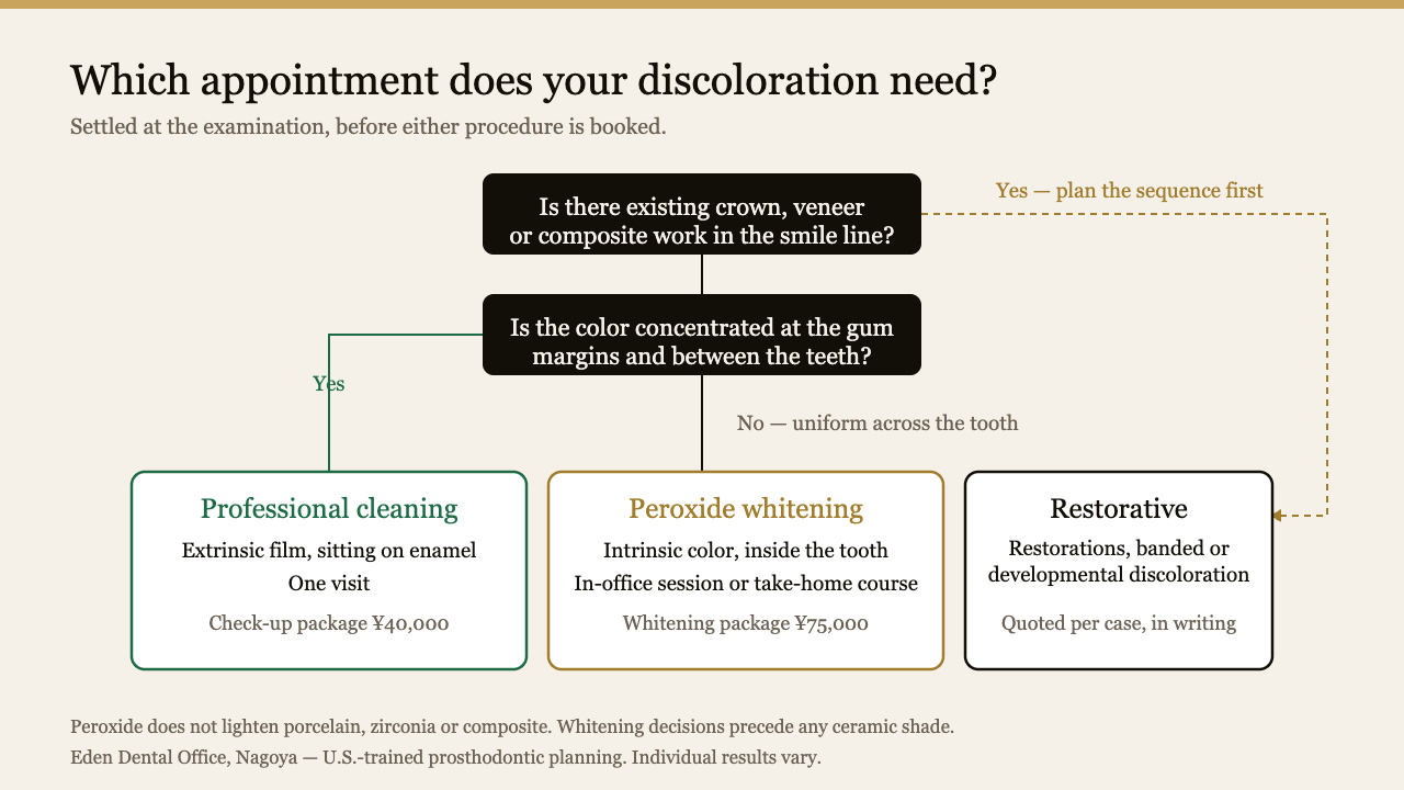 Decision path from the appearance of the discoloration to a cleaning, a whitening course, or restorative treatment | Eden Dental Office Nagoya
