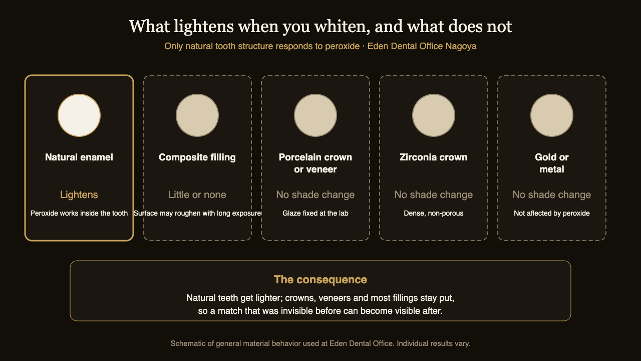 Diagram showing that natural enamel lightens with whitening while composite, porcelain, zirconia and metal restorations do not | Eden Dental Office Nagoya
